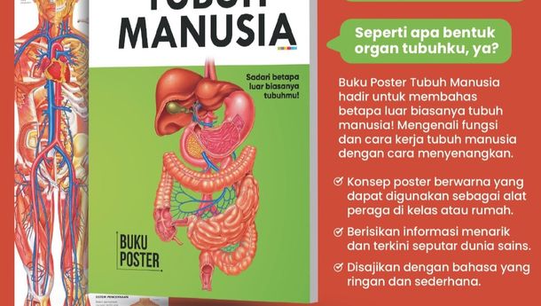 Menguak Keajaiban Tubuh Manusia Lewat Buku Poster Edukatif dari Erlangga