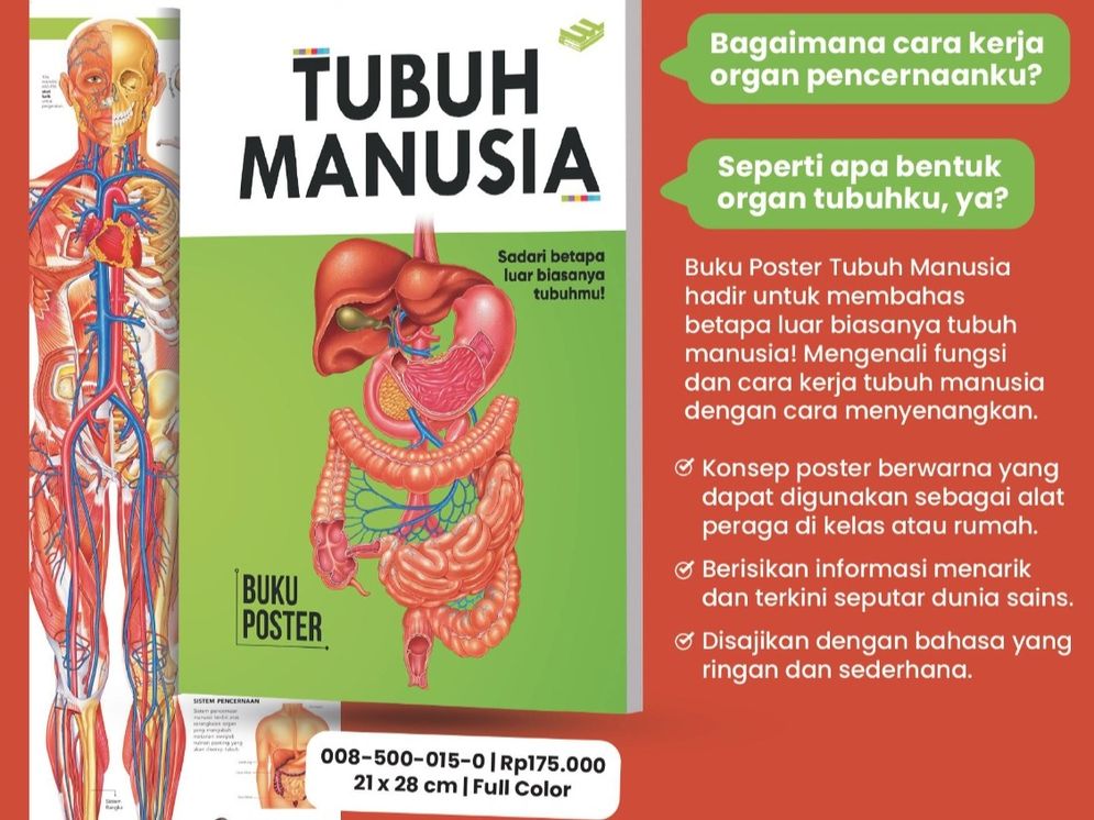 Menguak Keajaiban Tubuh Manusia Lewat Buku Poster Edukatif dari Erlangga