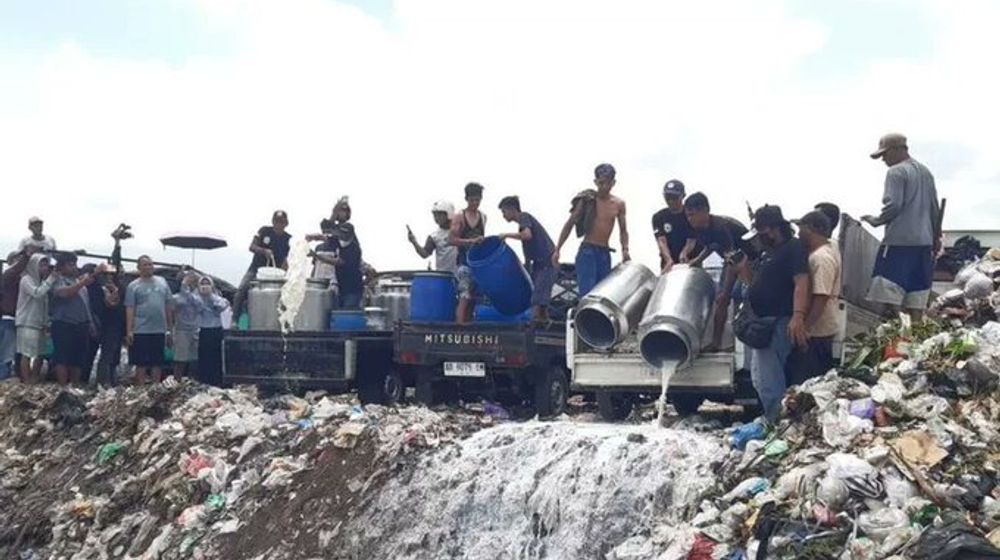 susu sapi dibuang.jpeg