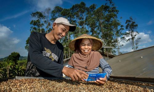 Kualitas Aset Semakin Baik, Intip Strategi BRI Turunkan Rasio Kredit Bermasalah