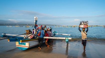 BRI Dukung Ekonomi Hijau, Portofolio Pembiayaan Tembus Rp764,8 Triliun untuk Ekonomi Berkelanjutan