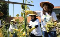 Pengakuan untuk BRI di Indonesia WEPs Awards 2024 atas Pemberdayaan Perempuan