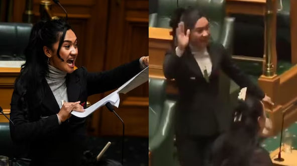 Hana-Rawhiti Maipi-Clarke menampilkan tarian haka tradisional Maori dan merobek salinan rancangan undang-undang yang kontroversial di parlemen Selandia Baru.