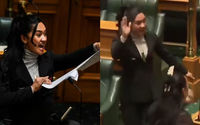 Hana-Rawhiti Maipi-Clarke menampilkan tarian haka tradisional Maori dan merobek salinan rancangan undang-undang yang kontroversial di parlemen Selandia Baru.