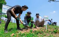 Pulihkan Hutan Bekas Tambang, Aksi Nyata Kelompok Tani Selamatkan Lingkungan Bersama BRI Menanam-Grow & Green