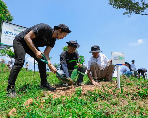 Pulihkan Hutan Bekas Tambang, Aksi Nyata Kelompok Tani Selamatkan Lingkungan Bersama BRI Menanam-Grow & Green