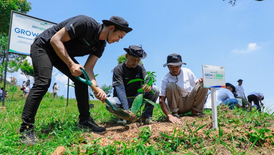 Pulihkan Hutan Bekas Tambang, Aksi Nyata Kelompok Tani Selamatkan Lingkungan Bersama BRI Menanam-Grow & Green