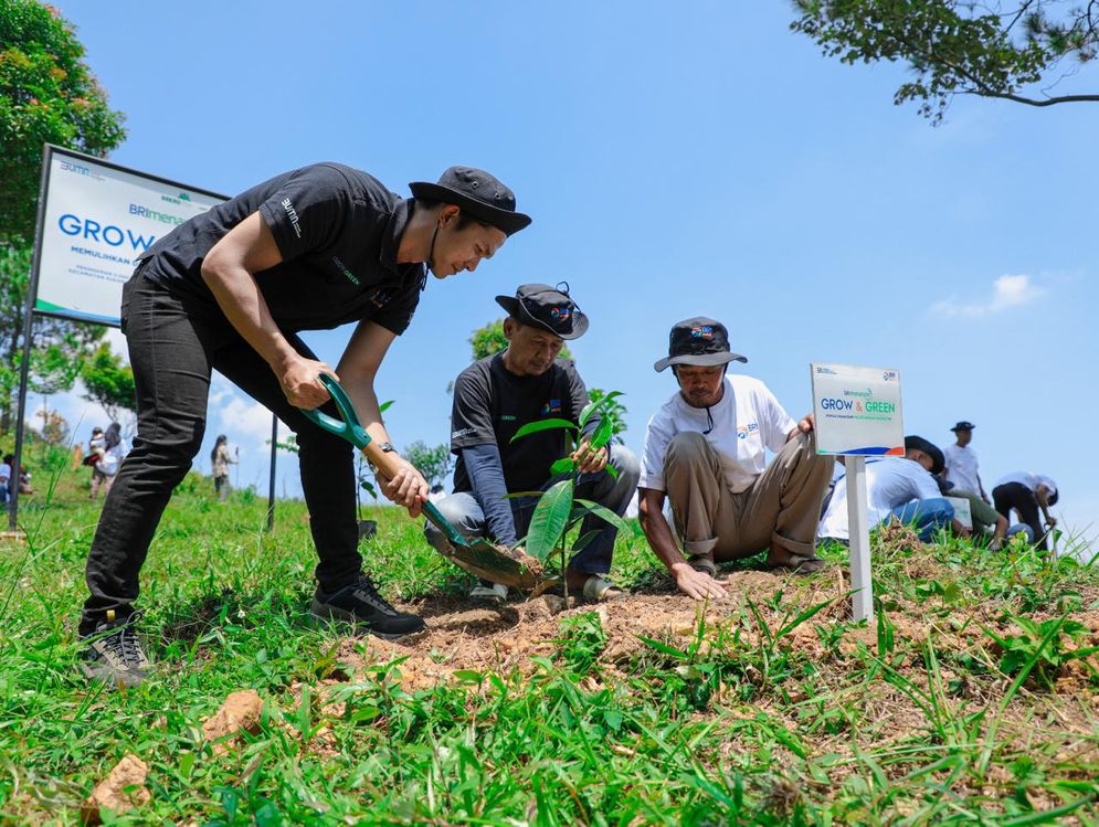 Pulihkan Hutan Bekas Tambang, Aksi Nyata Kelompok Tani Selamatkan Lingkungan Bersama BRI Menanam-Grow & Green