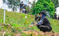 Hutan Bekas Tambang Tak Lagi Gersang, Berkat Aksi BRI Menanam-Grow & Green dan Kelompok Tani