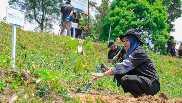 BRI Menanam-Grow & Green: Inisiatif Hijau untuk Hutan Bekas Tambang Bersama Kelompok Tani