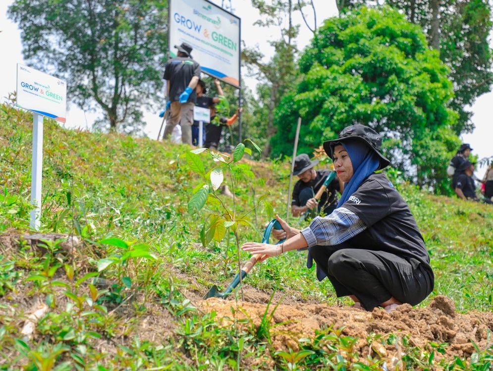 BRI Menanam-Grow & Green: Inisiatif Hijau untuk Hutan Bekas Tambang Bersama Kelompok Tani