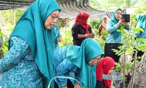 Tidak berjudul.png