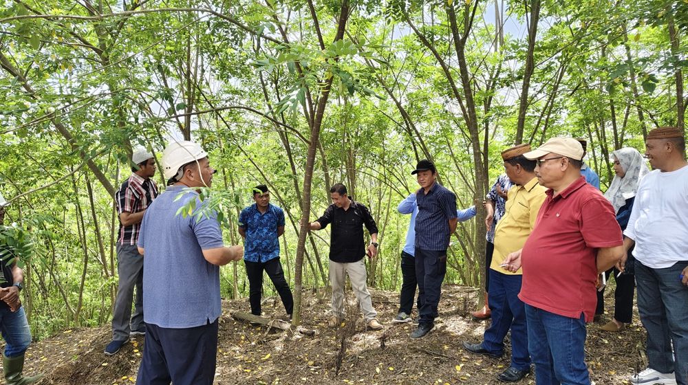 WhatsApp Image 2024-11-20 at 07.59.33.jpeg