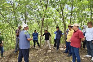 WhatsApp Image 2024-11-20 at 07.59.33.jpeg