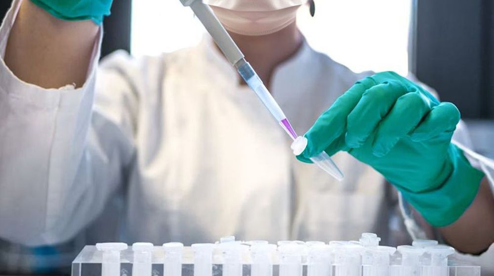 WhatsApp Image 2024-11-19 at 08.35.02_76da3325.jpg