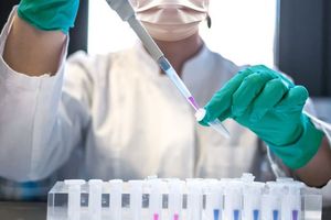 WhatsApp Image 2024-11-19 at 08.35.02_76da3325.jpg