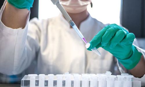 WhatsApp Image 2024-11-19 at 08.35.02_76da3325.jpg