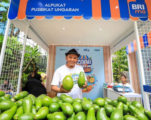 Berkat Program Pemberdayaan BRI Klasterku Hidupku, Petani Ini Berhasil Kembangkan Budidaya Alpukat