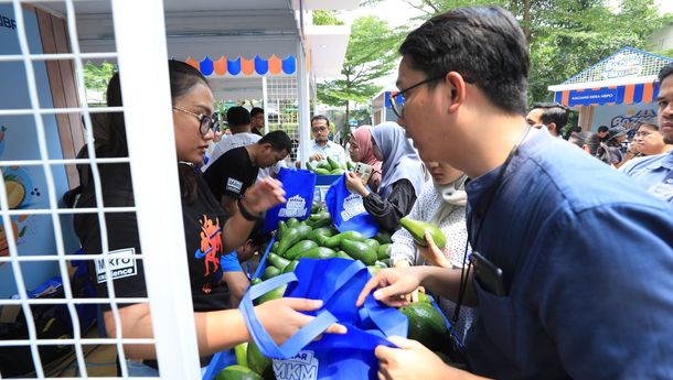 Program BRI Klasterku Hidupku Dorong Kesuksesan Budidaya Alpukat dari Petani