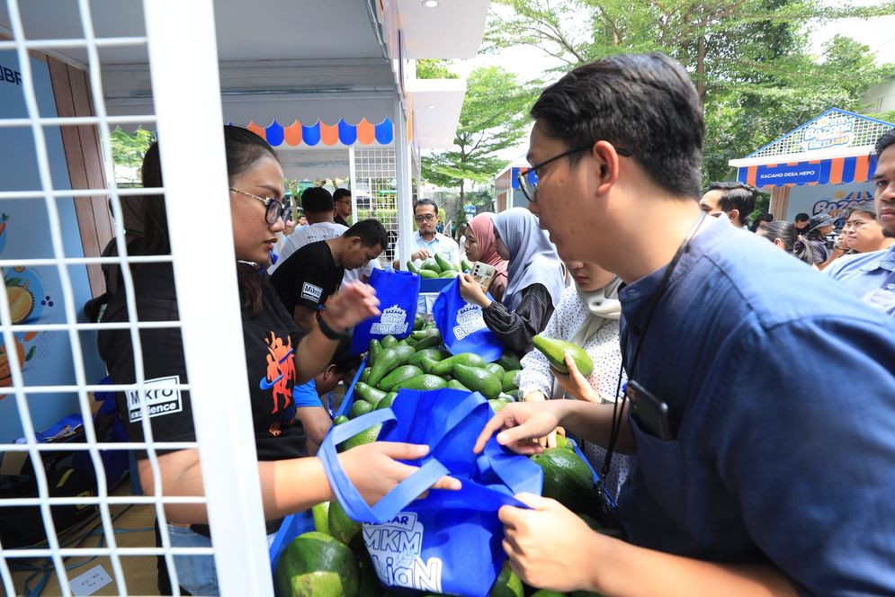 Program BRI Klasterku Hidupku Dorong Kesuksesan Budidaya Alpukat dari Petani