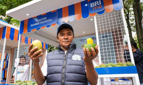 Berkat dukungan BRI, petani mangga Bondowoso makin sejahtera
