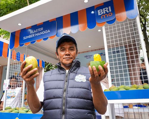 Berkat dukungan BRI, petani mangga Bondowoso makin sejahtera