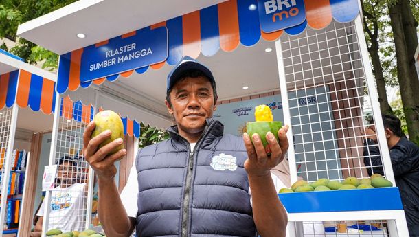 Program BRI Sukses Berdayakan Petani Mangga Bondowoso, Lahan Jadi Lebih Luas!