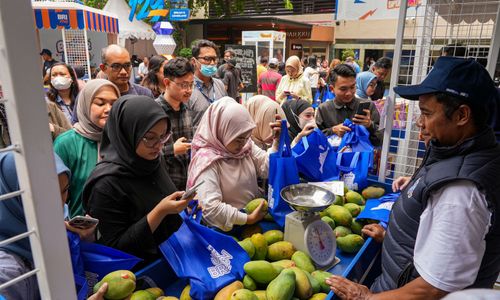 Diberdayakan BRI, Petani Mangga Bondowoso Mampu Perluas Lahan dan Tingkatkan Taraf Hidup