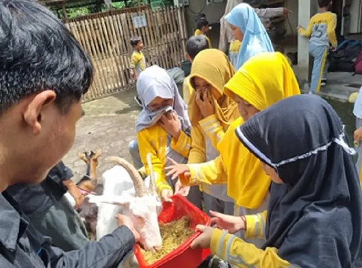 Fapet UGM Gagas Eduwisata Ternak Kambing untuk Pelajar SD