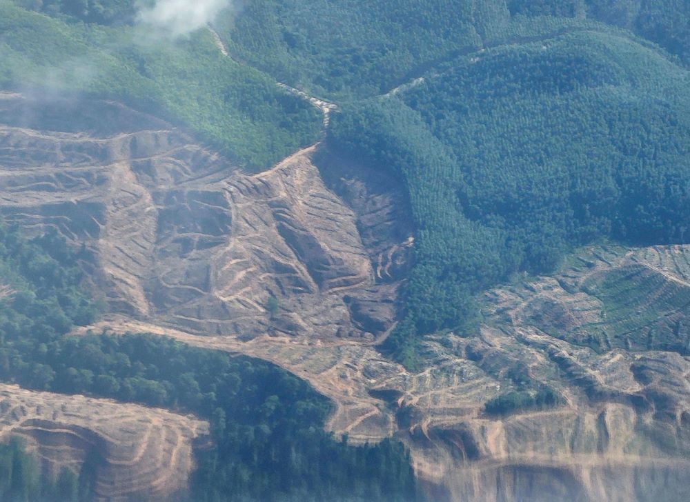 Lahan tambang batubara di Kalimantan Timur