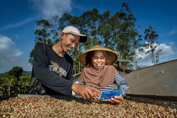 BRI Cairkan KUR Senilai Rp175,66 Triliun, Bukti Dedikasi pada Ekonomi Rakyat