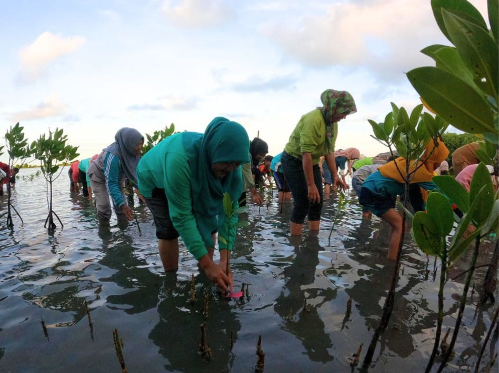 Kelompok Perempuan Perkuat Proteksi Ekosistem Mangrove