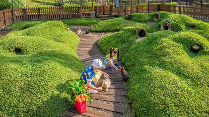 Dairyland Farm Theme Park.