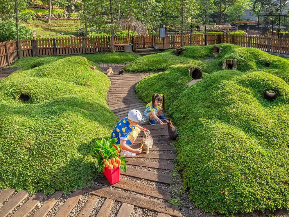 8 Rekomendasi Tempat Wisata di Puncak Bogor untuk Libur Akhir Tahun