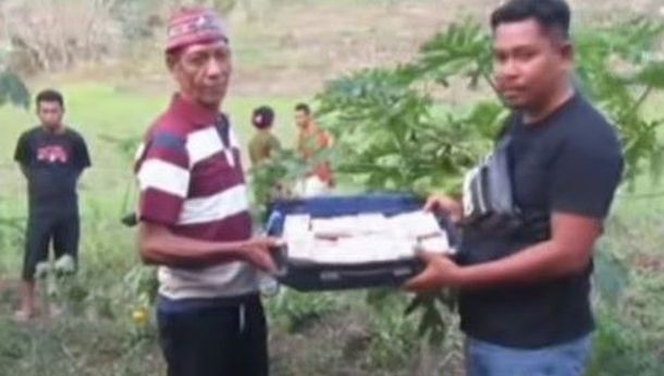 Kelompok Tani Lando Lames, Matim, Panen Perdana Porang, Raup Miliaran Rupiah