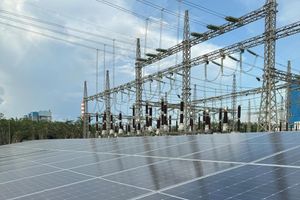 WhatsApp Image 2024-12-19 at 13.43.14_d6e00033.jpg