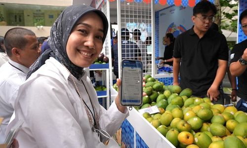 Kelompok Petani Jeruk di Curup Bengkulu Jangkau Pasar Lebih Luas Berkat Pemberdayaan BRI