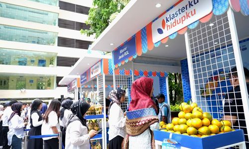 Pemberdayaan BRI Bantu Jeruk Curup Bengkulu Masuk Pasar Lebih Besar