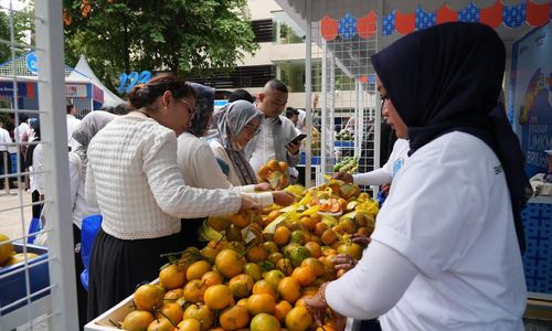 Berkat BRI, Jeruk Curup Bengkulu Kini Makin Mudah Ditemukan