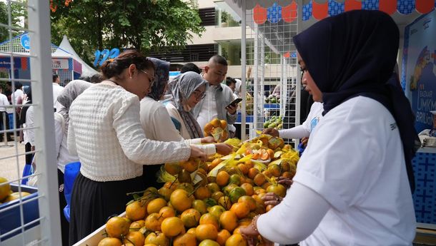 Berkat BRI, Jeruk Curup Bengkulu Kini Makin Mudah Ditemukan