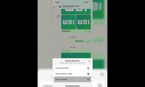 Scan dokumen dari WhatsApp.