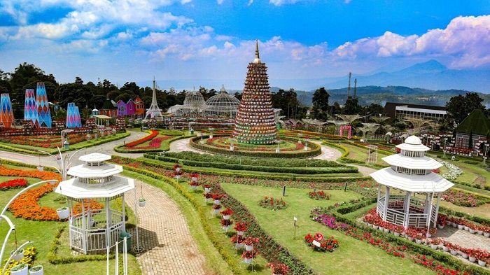 Wisata Kabupaten Semarang, Taman Bunga Celosia.