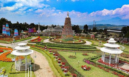 Wisata Kabupaten Semarang, Taman Bunga Celosia.