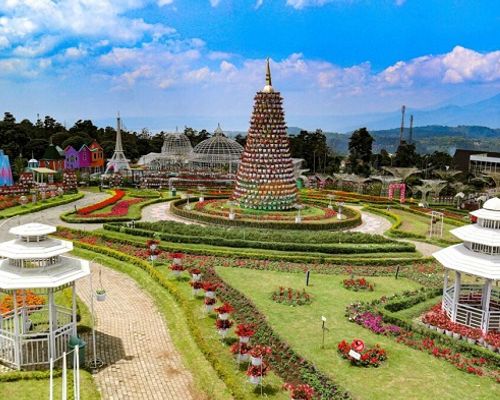 Wisata Kabupaten Semarang, Taman Bunga Celosia.