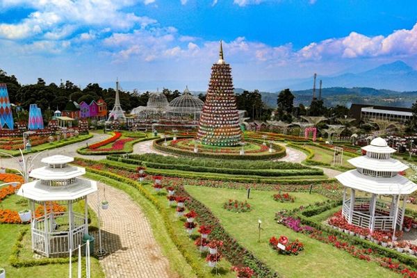 Wisata Kabupaten Semarang, Taman Bunga Celosia.