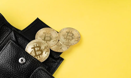 dompet Crypto.jpg