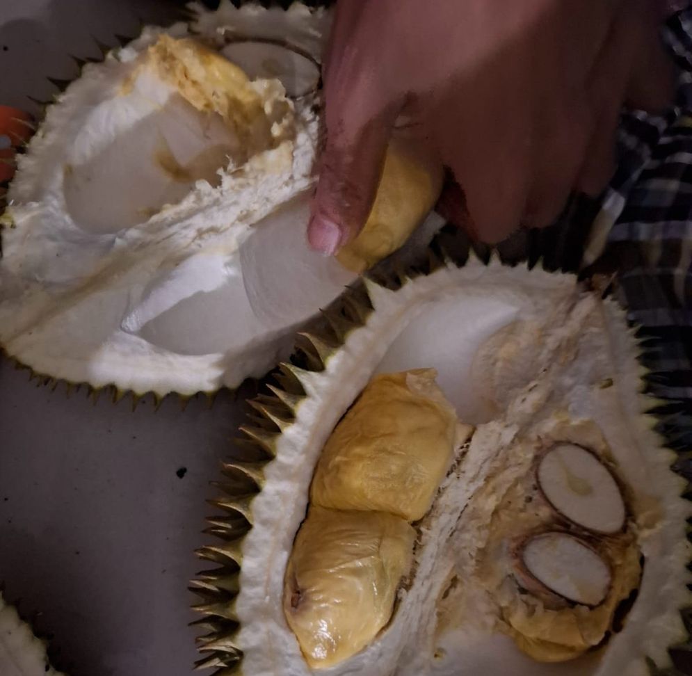 Salah satu durian yang paling dicari adalah berdaging tebal dengan warna tembaga