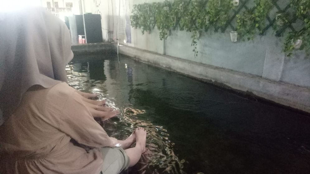 Pengunjung sedang menikmati terapi ikan di Pojok Kebon,  Sabtu (28/12/2024)