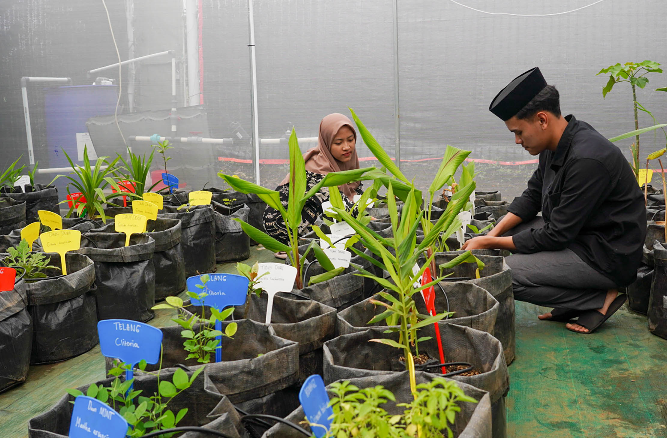 Yayasan Keanekaragaman Hayati Indonesia (KEHATI) meresmikan pembuatan greenhouse di Pondok Pesantren Tahfidz Qur'an Daarul 'Uluum Lido, Kabupaten Bogor, Jawa Barat. Foto : Panji Asmoro/TrenAsia