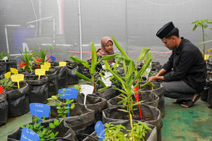 Peresmian Green House Kehati - Panji 1.jpg